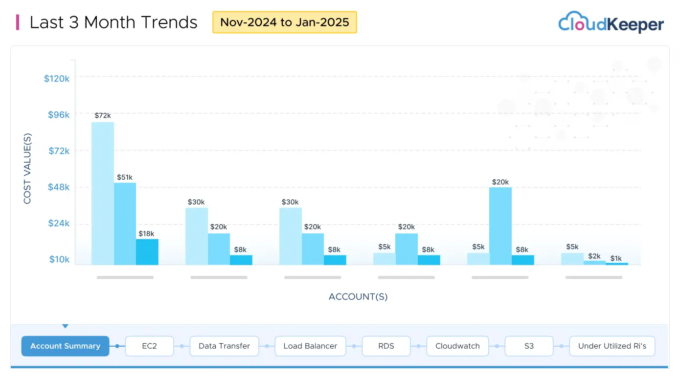 Custom monthly cost analysis reports