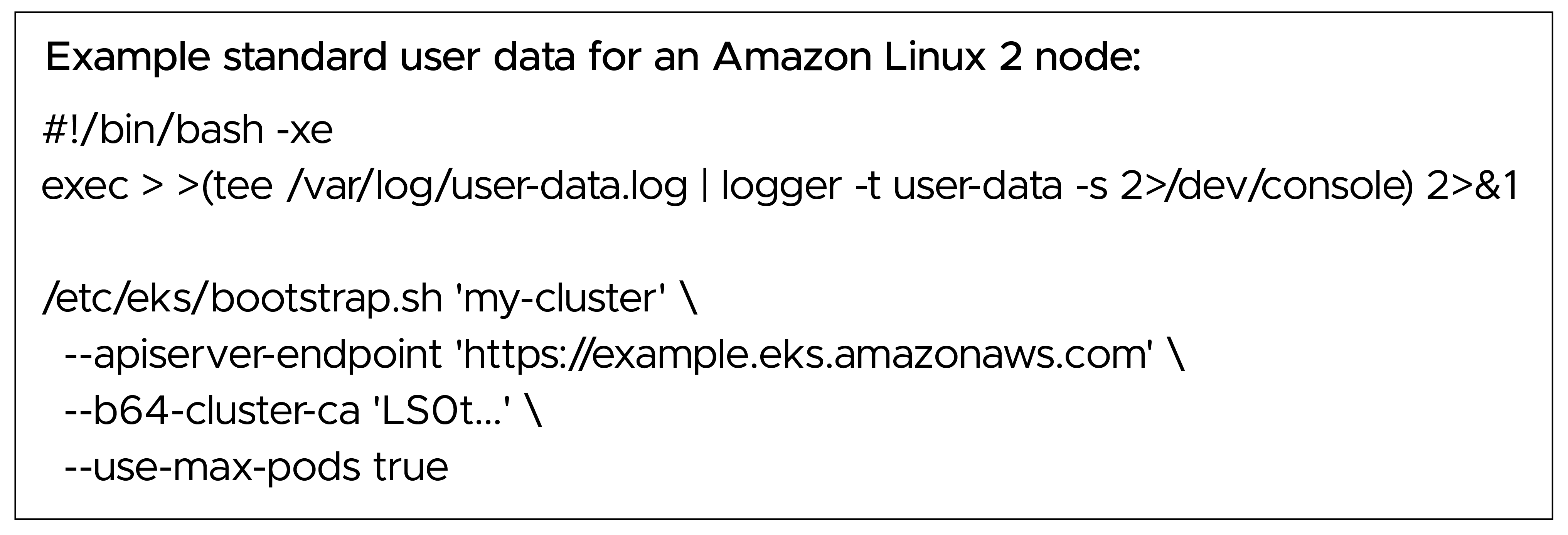 Example standard user data for an Amazon Linux 2 node:
