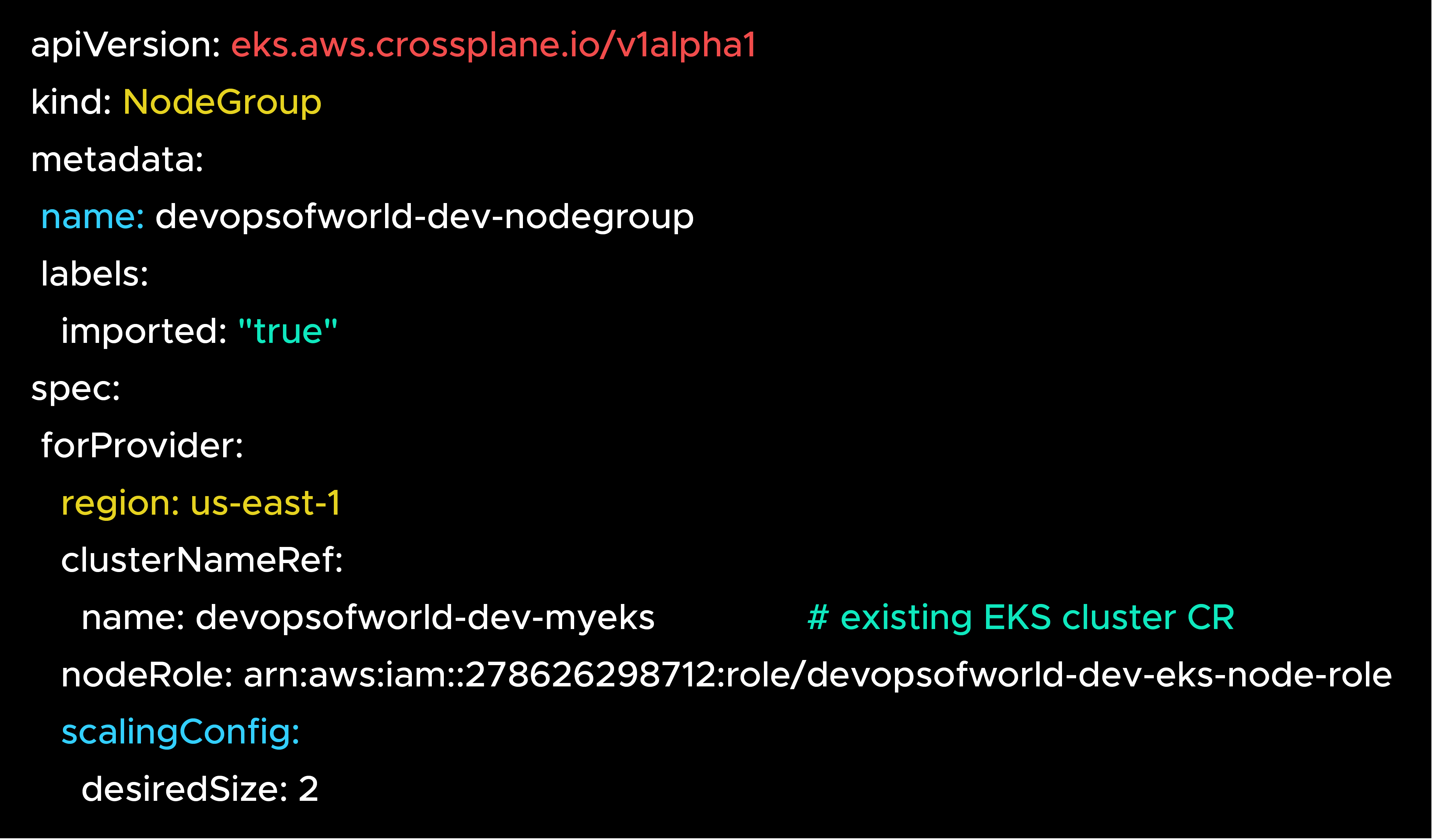 Import Existing AWS EKS NodeGroup