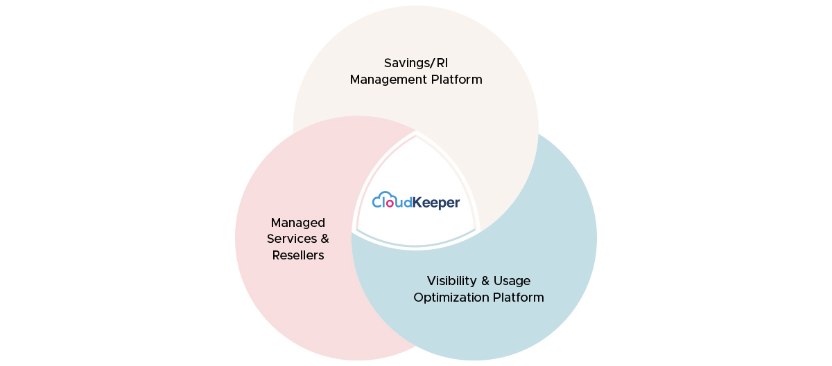 Cloud Cost Optimization Essentials: Strategies that Drive Savings and ...