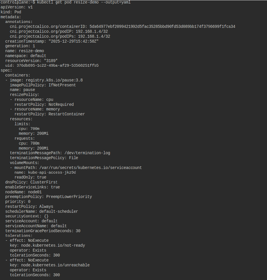 Default container resizePolicy example