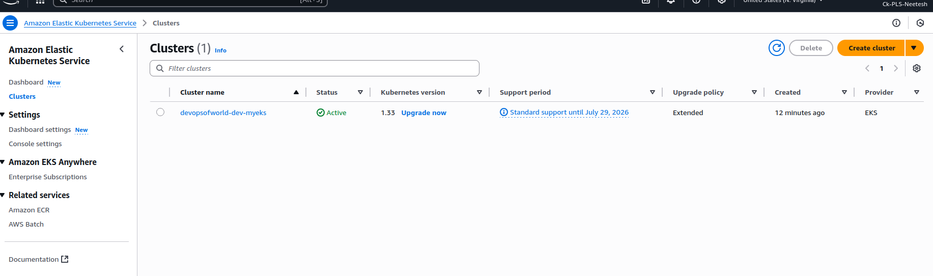 A running EKS cluster